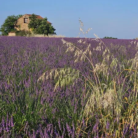 La Maison De Marie *