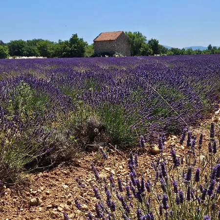 La Maison De Marie * Puimoisson