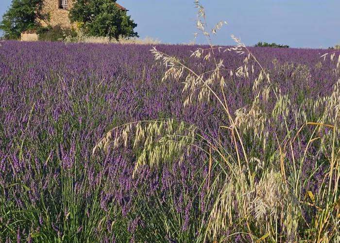 La Maison De Marie *